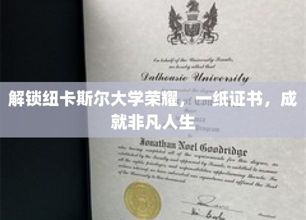 纽卡斯尔大学荣耀见证，证书背后的非凡人生之旅