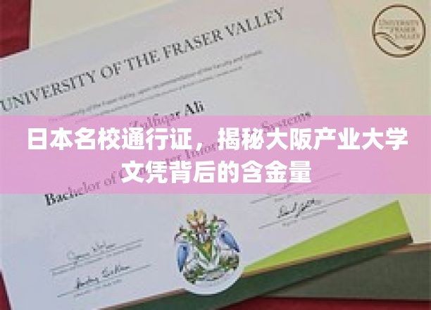 解码大阪产业大学，日本名校文凭的珍贵价值
