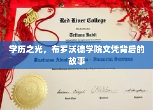 学历之光，布罗沃德学院文凭背后的故事