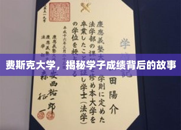 费斯克大学学霸养成记，揭秘学子成绩背后的精彩历程