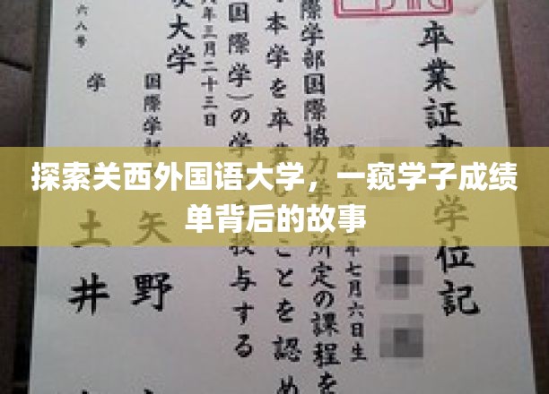 揭秘关西外国语大学学子成绩单背后的成长轨迹