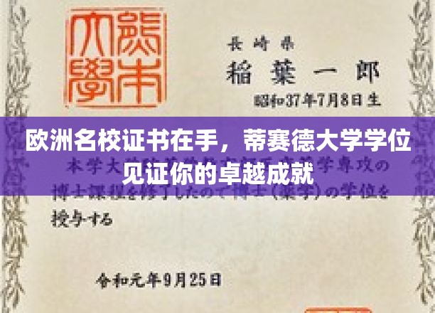 欧洲精英学府认证，蒂赛德大学学位彰显非凡成就之路