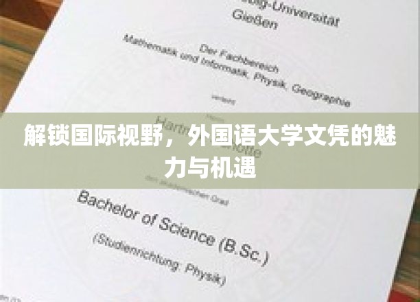 跨国通行证，外国语大学文凭的全球魅力与无限可能