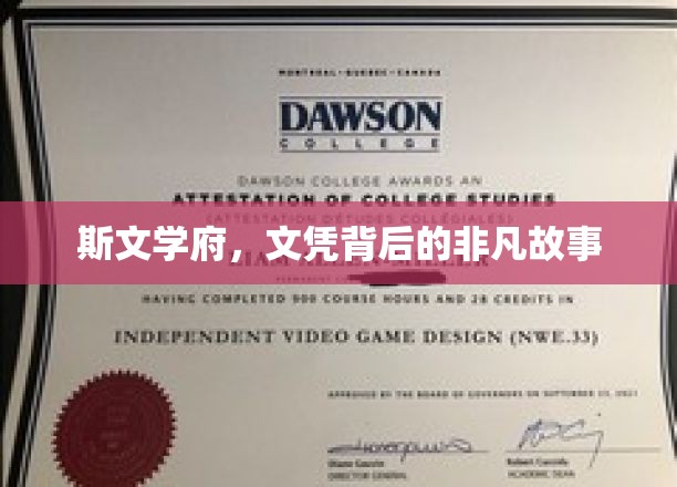 斯文之光，揭开文凭背后的传奇人生