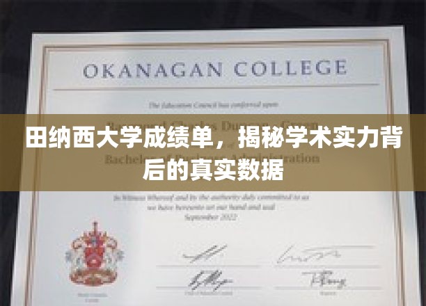 田纳西大学成绩单，揭示学术实力背后的真实数据