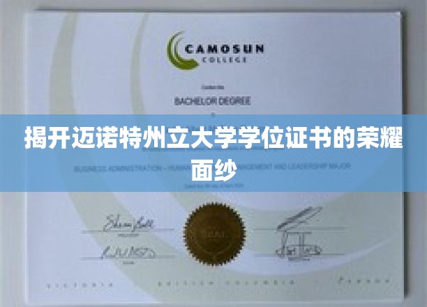 揭开迈诺特州立大学学位证书的荣耀面纱