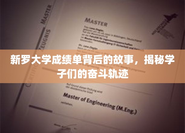 成绩单背后的青春足迹，新罗大学学子奋斗之路大揭秘