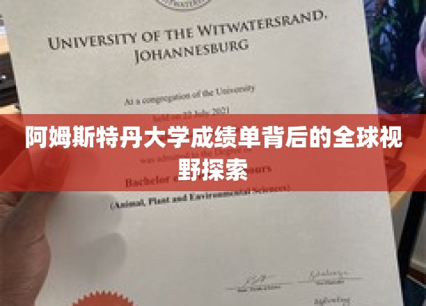 阿姆斯特丹大学成绩单映照下的全球视野探索
