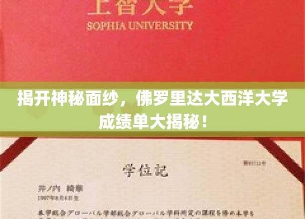 揭开神秘面纱，佛罗里达大西洋大学成绩单大揭秘！