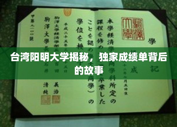 阳明大学独家揭秘，揭秘学生成绩单背后的奥秘