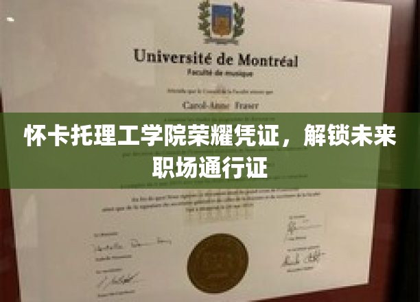 怀卡托理工学院荣耀通行证，开启职场新纪元