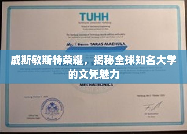 解码威斯敏斯特荣耀，全球顶级大学文凭的独特魅力