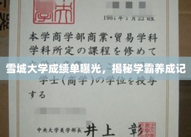 雪城学霸养成记，揭秘学霸背后的成绩单秘密