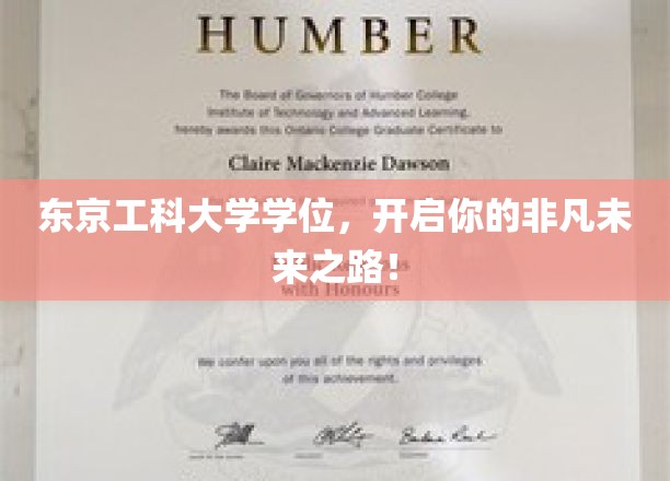 东京工科大学学位，解锁非凡生涯新篇章！