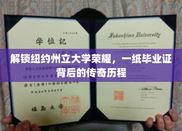 纽约州立大学荣耀之路，毕业证背后的传奇奋斗记