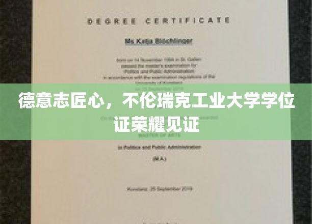 德工大荣耀时刻，匠心独运，德意志学位证书闪耀不伦瑞克之光