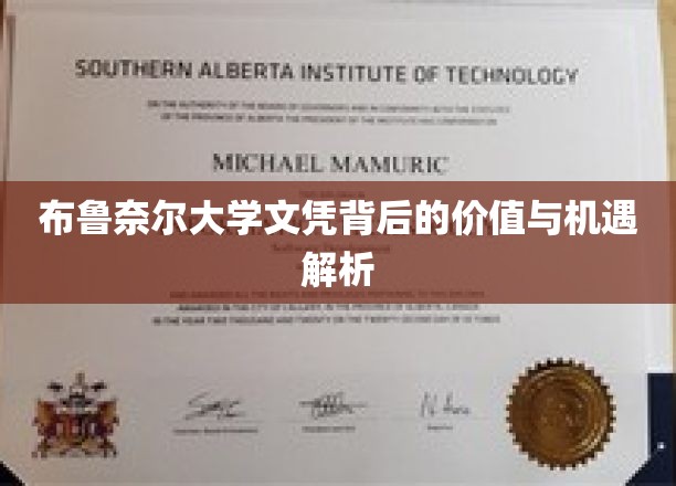 解码布鲁奈尔大学文凭，价值潜力与无限机遇揭秘