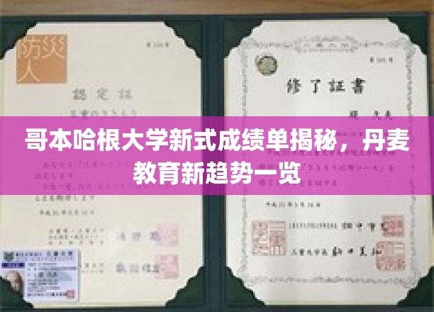 哥本哈根大学革新成绩单亮相，探秘丹麦教育未来风向标