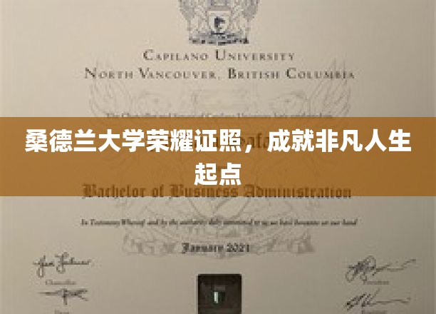 桑德兰荣耀学府，开启非凡人生新篇章