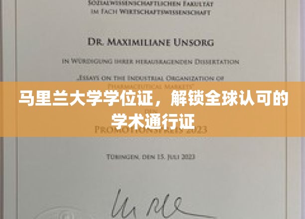 马里兰大学学位，通行全球的学术护照