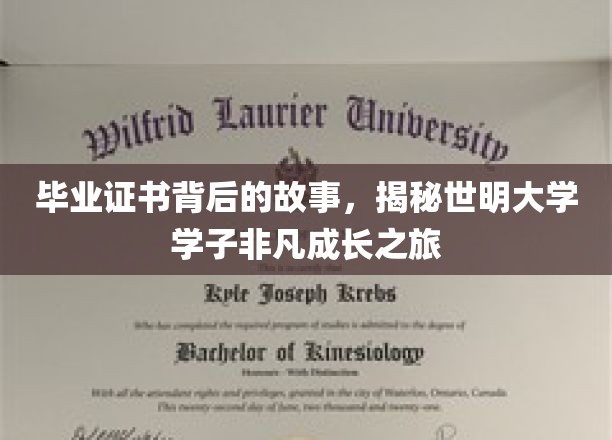 证书映照成长路，世明大学学子非凡旅程全记录