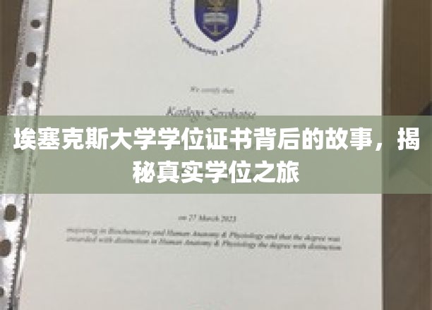 埃塞克斯大学学位证书背后的故事，揭秘真实学位之旅