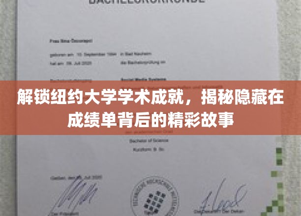 探寻纽约大学学术辉煌，一窥成绩单背后的精彩篇章