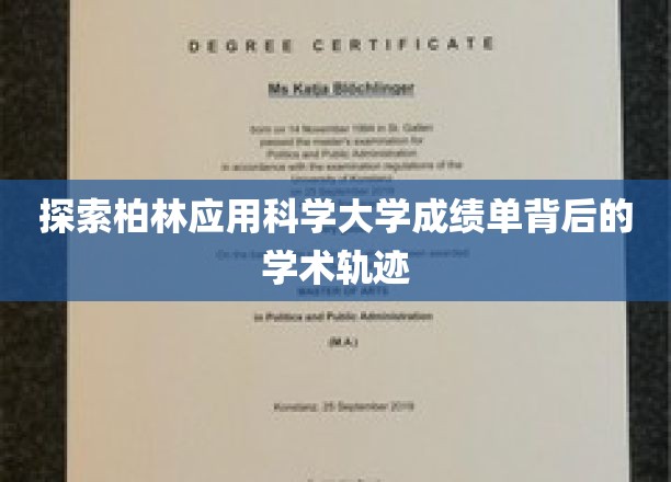 解码柏林应用科学大学成绩单，揭秘学术成长之路