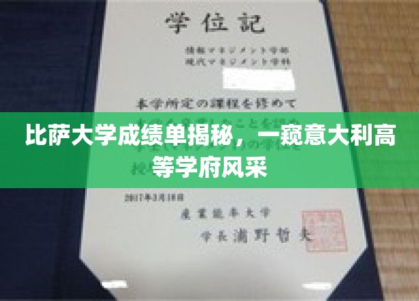比萨大学成绩单揭秘，一窥意大利高等学府风采