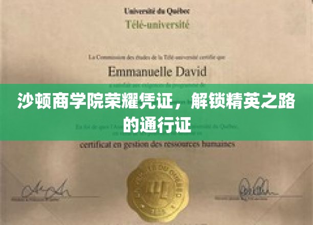 沙顿商学院荣耀徽章，开启卓越商业精英之旅的钥匙