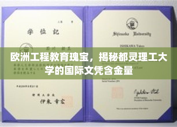 欧洲工程教育瑰宝，一窥都灵理工大学的国际文凭含金量