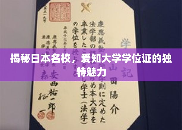 探寻爱知大学学位证的神秘之光