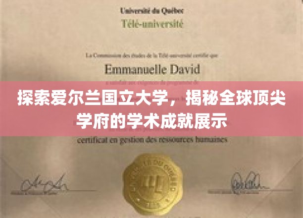 解码爱尔兰国立大学的学术璀璨，全球精英教育的典范展现