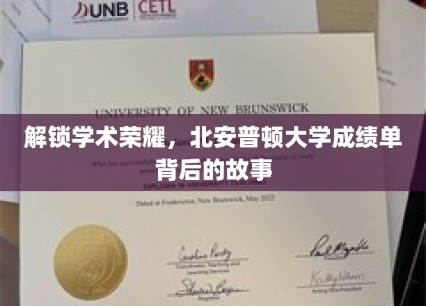 解锁学术荣耀，北安普顿大学成绩单背后的故事