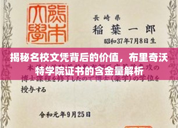 名校文凭价值探秘，布里奇沃特学院证书的深度解析