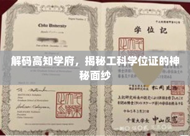 探寻精英殿堂，工科学位证的非凡奥秘