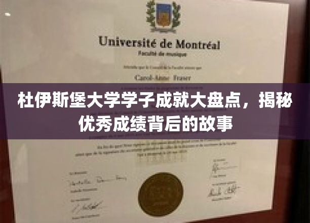 杜大英才，揭秘杜伊斯堡大学学子卓越成绩背后的奋斗传奇