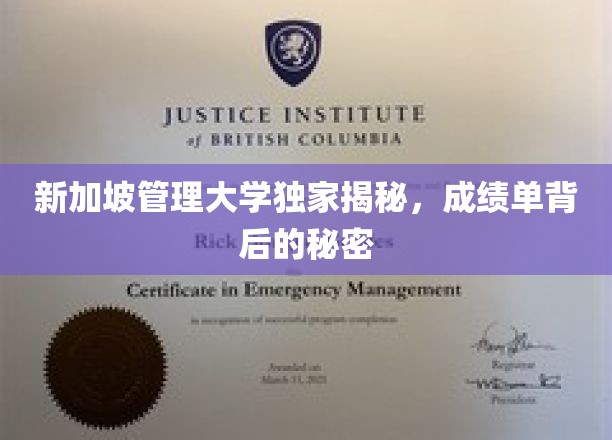 解码新加坡管理大学，成绩单背后的不为人知真相