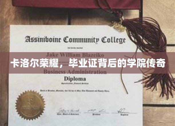卡洛尔荣耀，揭开毕业证背后的学院传奇之谜