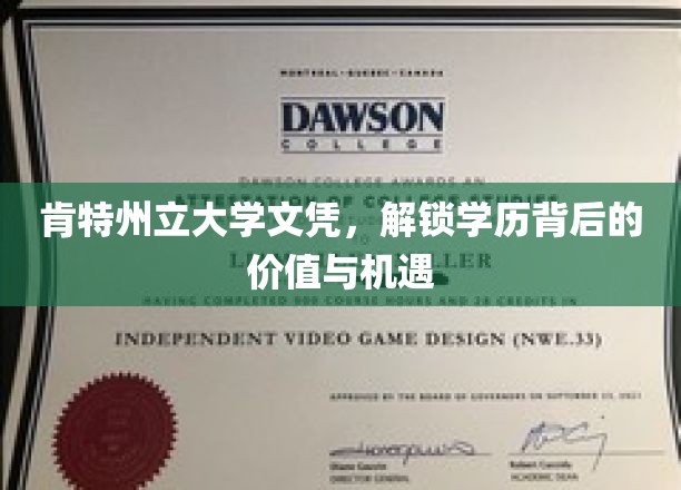 肯特州立大学文凭，揭示学历背后的价值与无限机遇