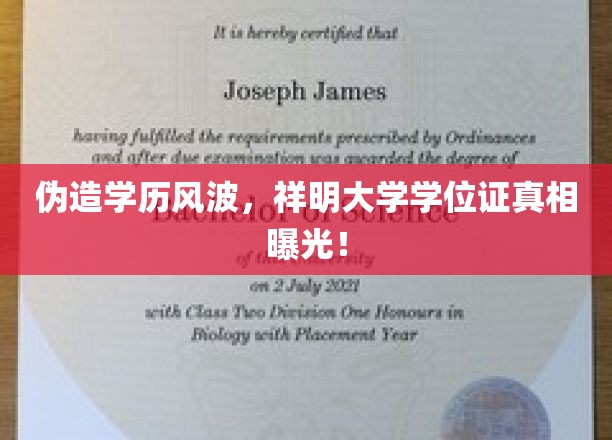 祥明大学学历门，揭秘假证背后的真实内幕