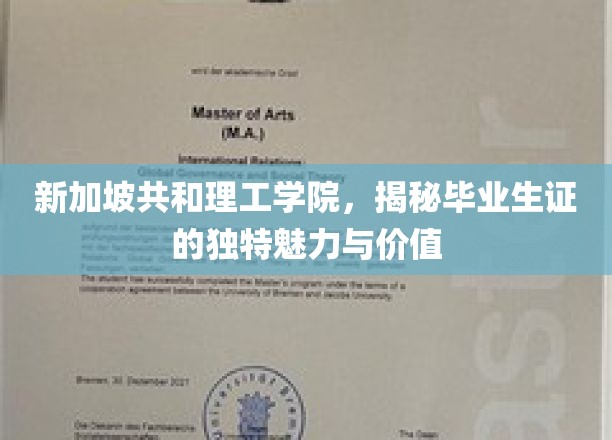 解码新加坡共和理工学院毕业生证的非凡吸引力与市场价值