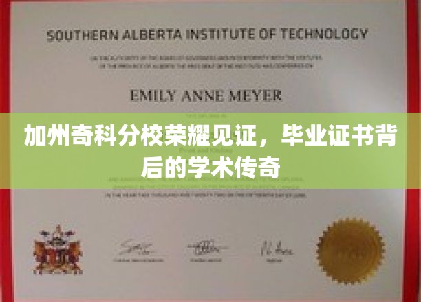 奇科分校毕业荣光，证书背后探寻学术璀璨篇章