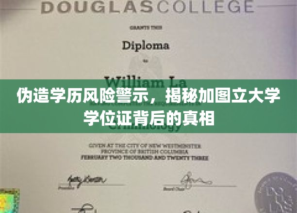 伪造学历风险警示，揭秘加图立大学学位证背后的真相