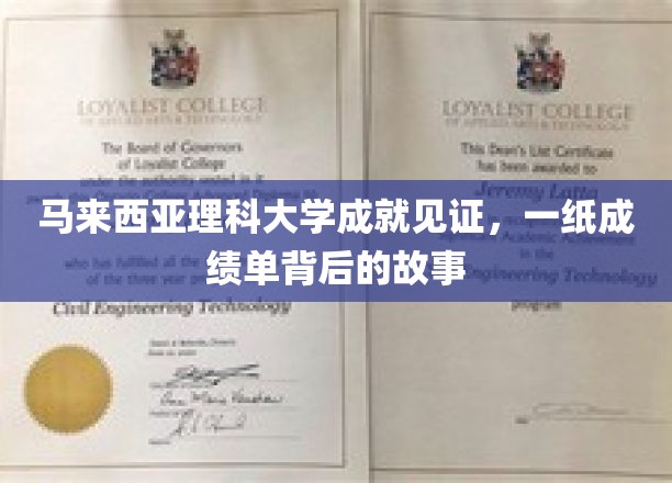马大荣耀，揭秘一纸成绩单背后的辉煌历程