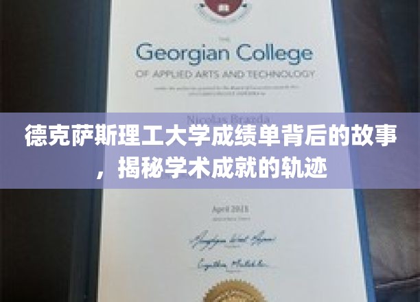 德克萨斯理工大学成绩单背后的故事，揭秘学术成就的轨迹