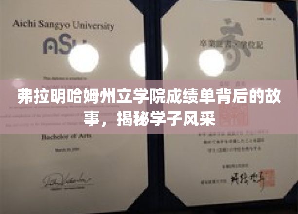 弗拉明哈姆学子风采，揭开成绩单背后的青春篇章