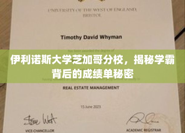 伊利诺斯大学芝加哥分校学霸成绩单，揭秘不为人知的学术传奇