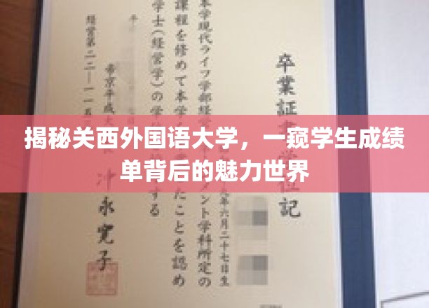 揭秘关西外国语大学，一窥学生成绩单背后的魅力世界
