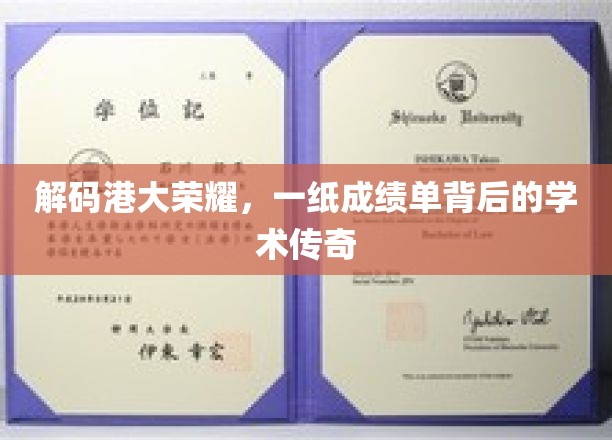 港大荣耀揭秘，成绩单背后的学术传奇之路